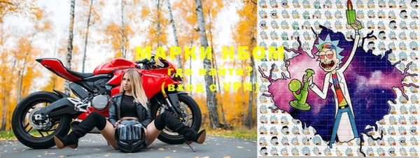 spice Карпинск