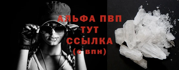 spice Карпинск