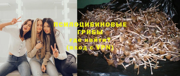 ГАЛЛЮЦИНОГЕННЫЕ ГРИБЫ Касимов