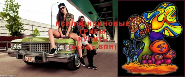 ГАЛЛЮЦИНОГЕННЫЕ ГРИБЫ Касимов