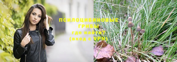 ГАЛЛЮЦИНОГЕННЫЕ ГРИБЫ Касимов