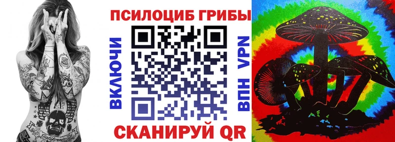 Псилоцибиновые грибы Psilocybine cubensis  Купить где  Белгород 